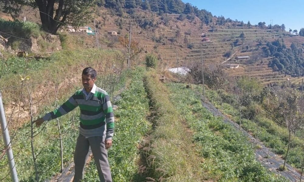 चोपडियालगांव के खुशीराम डबराल: पहाड़ की मिट्टी से आत्मनिर्भरता की मिसाल